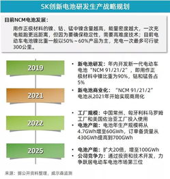 5月新能源乘用車市場增速放緩，投資管理面臨新考量